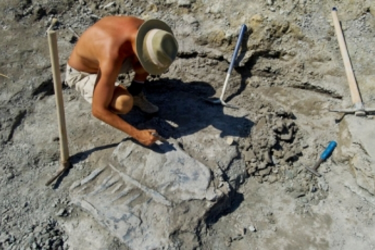 Őslénytani leletek három dimenziós térképe készül az iharkúti ásatások nyomán